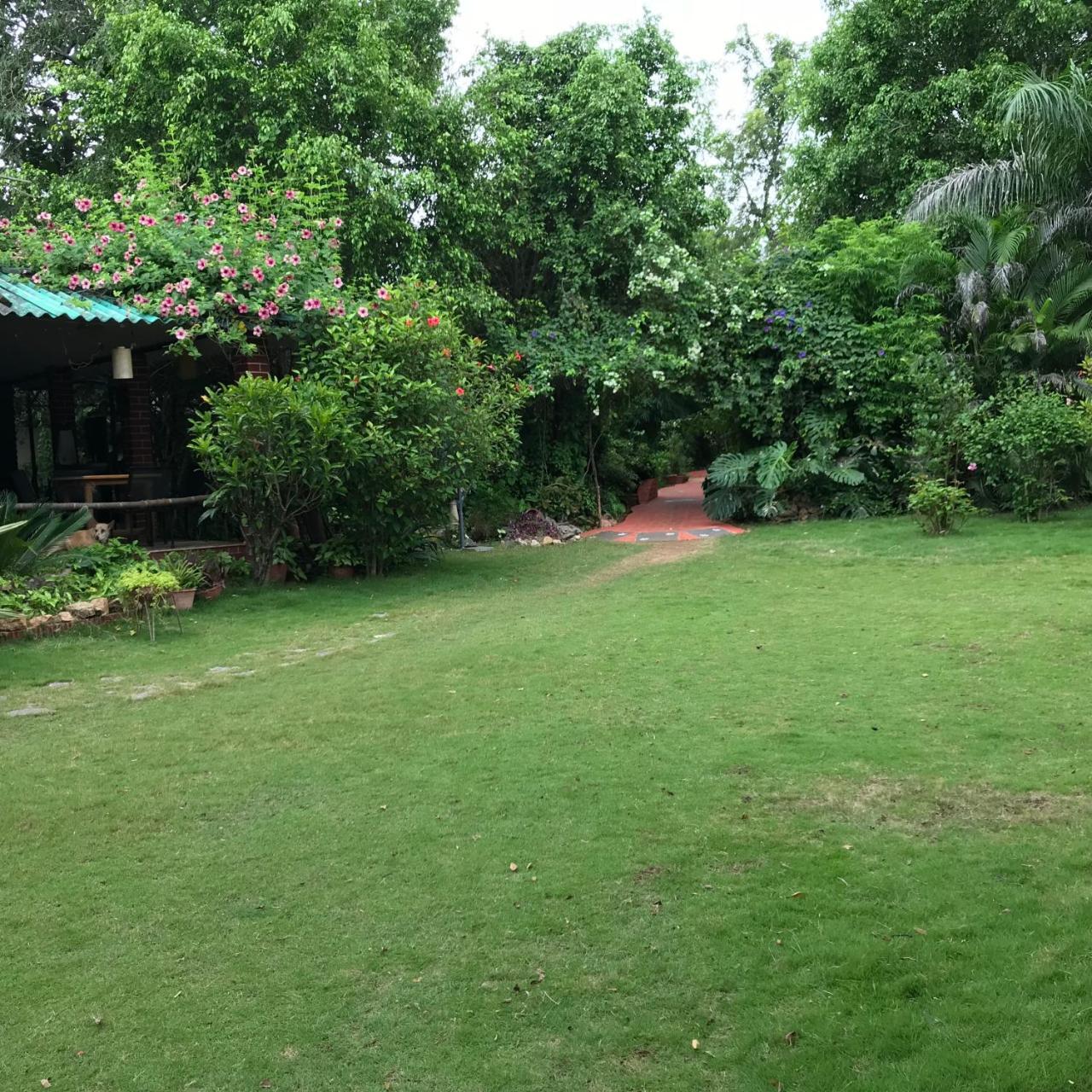 Baaz Jungle Resort Khawāsa Eksteriør bilde