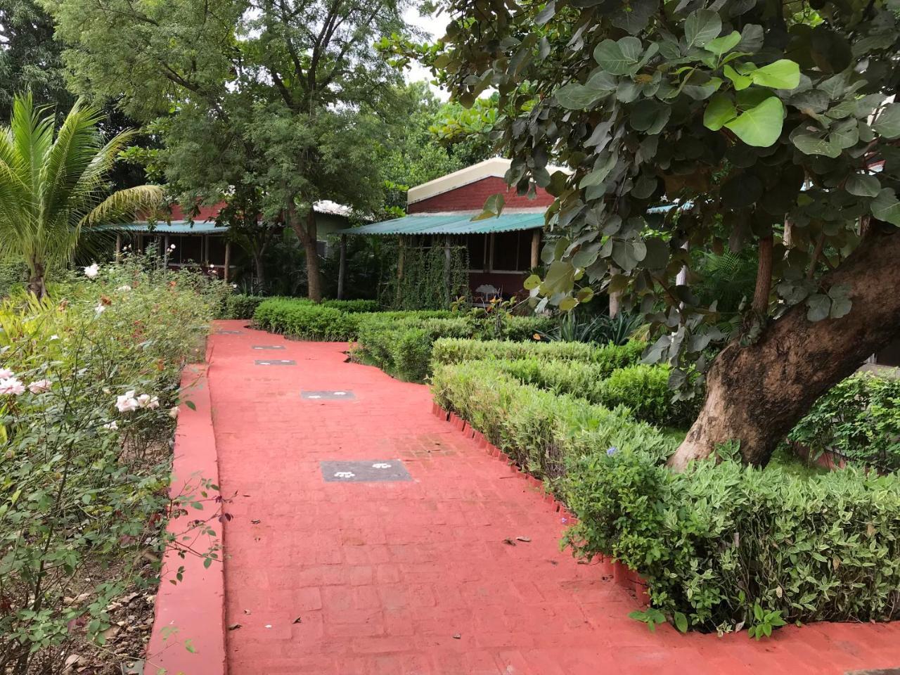 Baaz Jungle Resort Khawāsa Eksteriør bilde