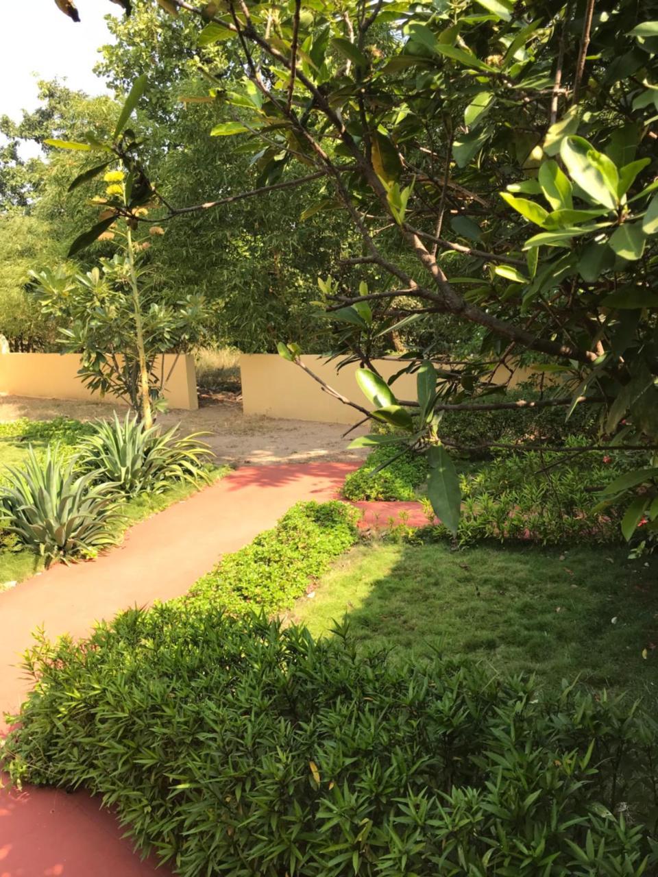 Baaz Jungle Resort Khawāsa Eksteriør bilde